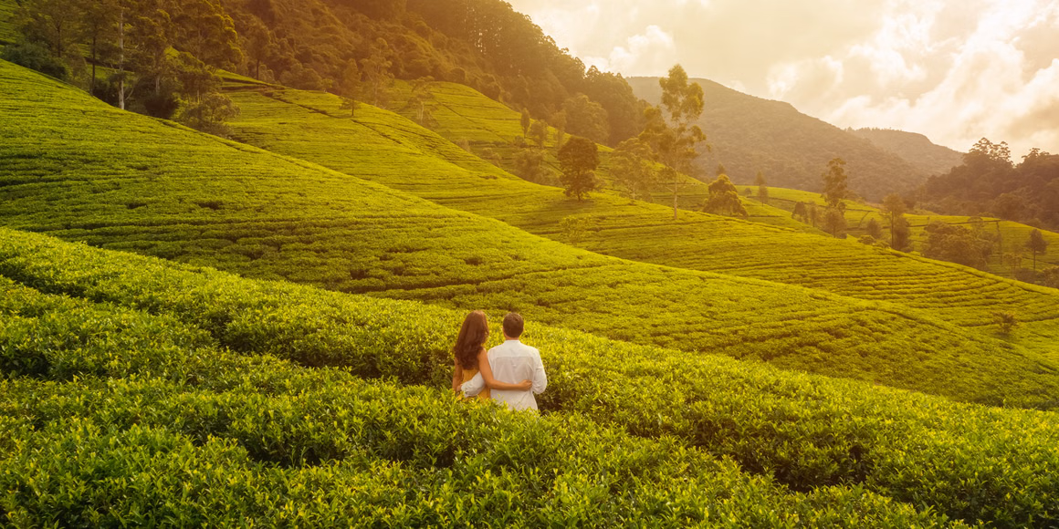 Munnar Hill Station Tour