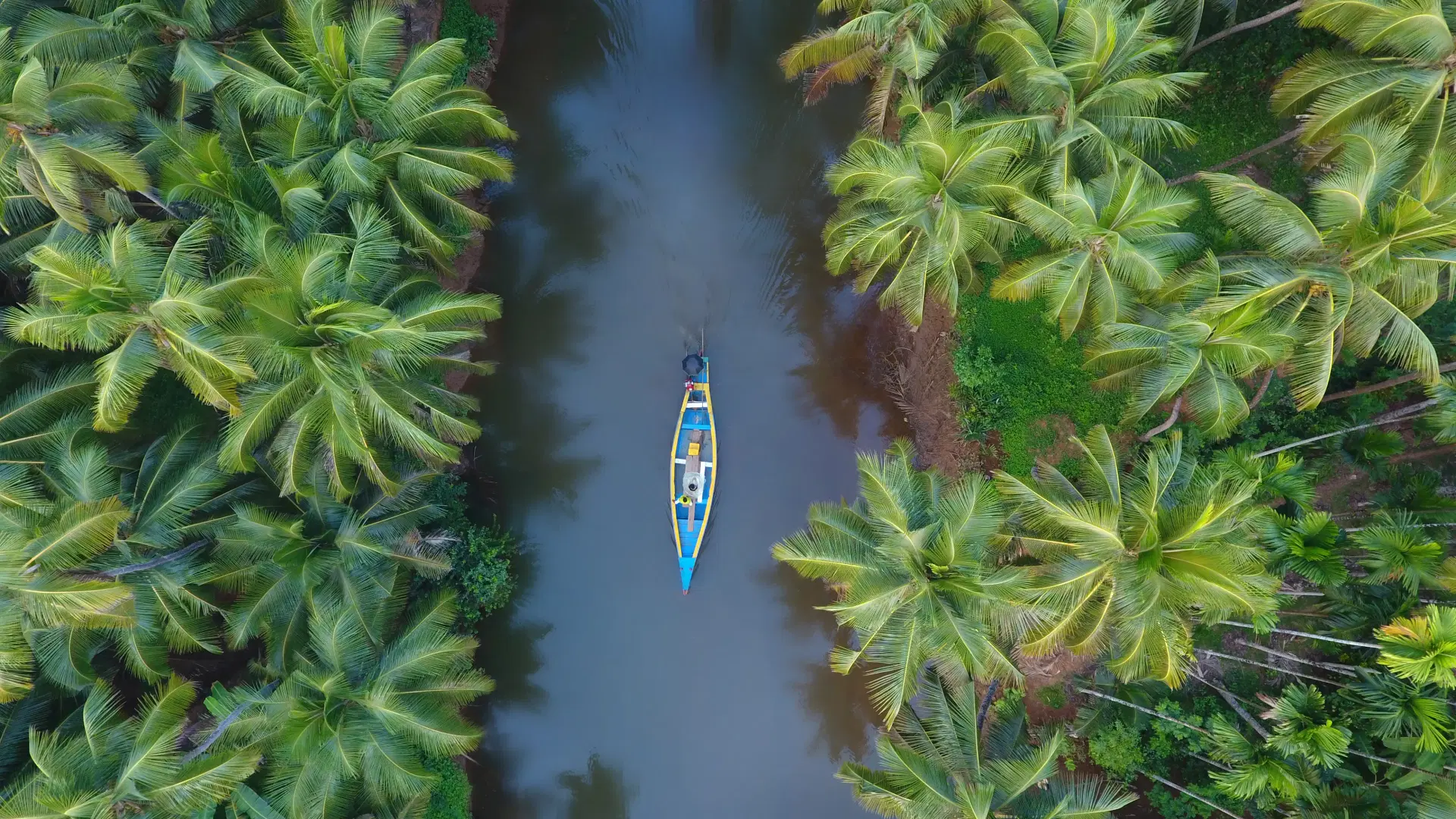Exotic Kerala Tour Package