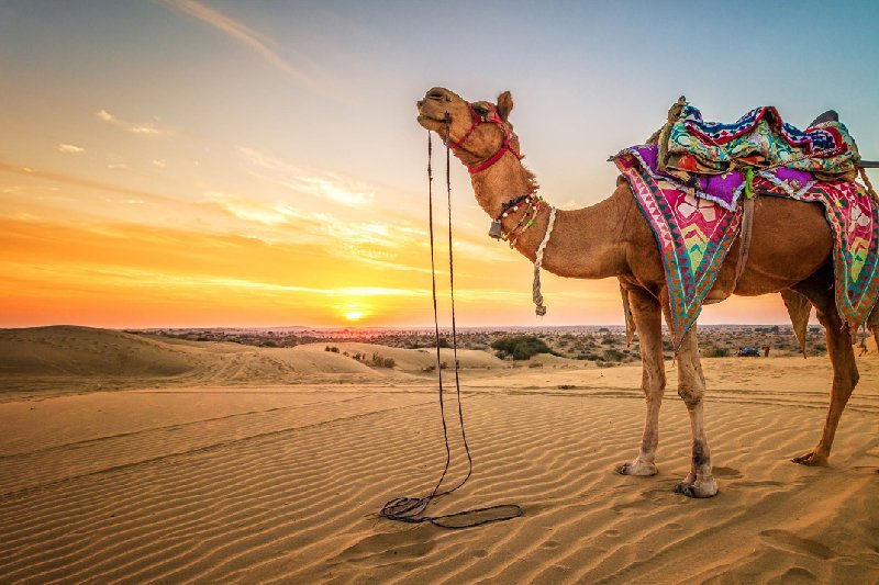 Rajasthan Tour